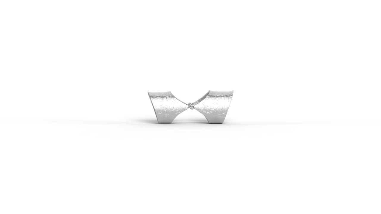 "SIlver full finger matte ring"